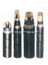 JHS防水电缆 JHS防水电缆 防水橡套电缆-