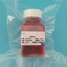 肝素鈉抗凝牛全血