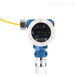 GCT-N-O3-P12臭氧分析仪
